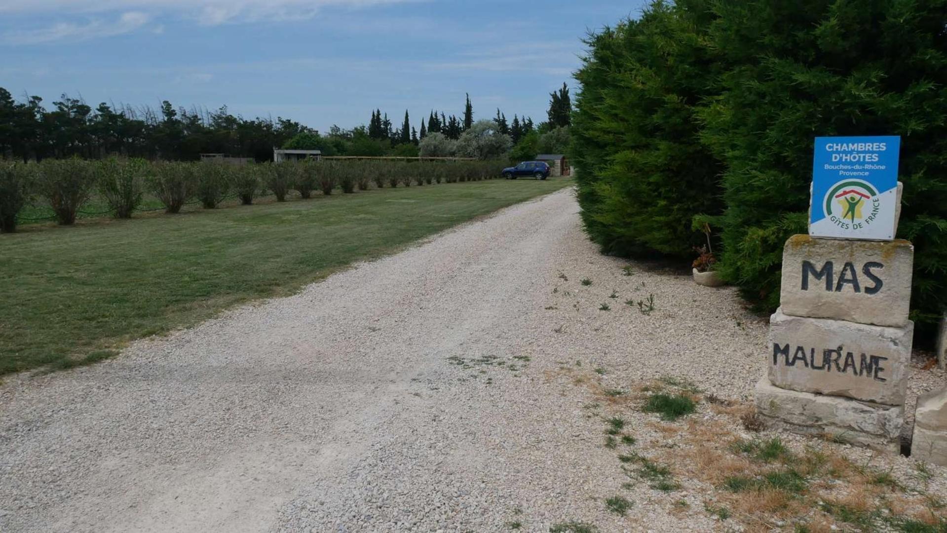 Mas Maurane - L'Olivier Avec Spa Prive Aux Portes D'Arles Tarascon Buitenkant foto